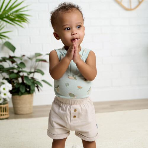 Gerber Gerber Baby Jongens Multi-Pack Mouwloze Rompers, Zeeschildpadden 2
