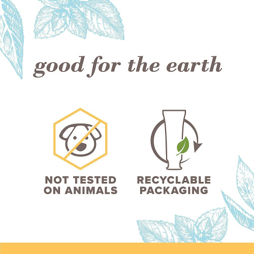Burt's Bees Extra White Toothpaste  Fluoride Toothpaste  Natural Flavor  Mountain Mint  4.7 oz  Pack of 3 2