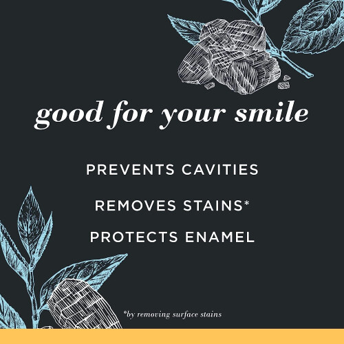 Burt's Bees Toothpaste  Natural Flavor  Charcoal with Fluoride Toothpaste  Mountain Mint  3 x 4.7oz 1