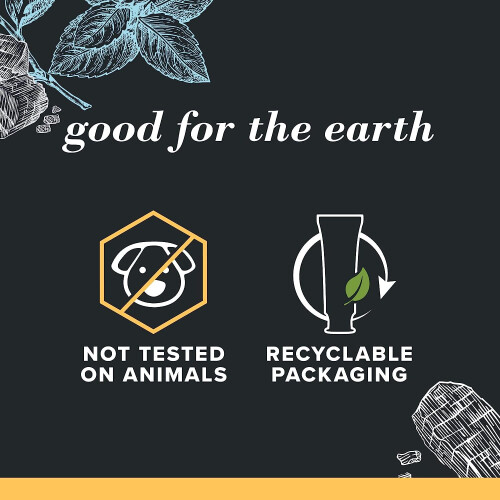 Burt's Bees Toothpaste  Natural Flavor  Charcoal with Fluoride Toothpaste  Mountain Mint  3 x 4.7oz 2