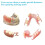 Denture Material Kit for Repair Missing Teeth or DIY Full Denture Fake Teeth 2