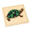 Elite Montessori-schildpadpuzzel 1