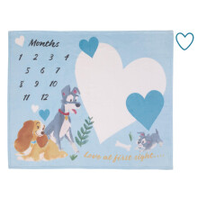 NOJO Disney Lady & The Tramp Modro-bielo-zlat L ska na prv pohlad Super m kk detsk deka Photo Op Milestone
