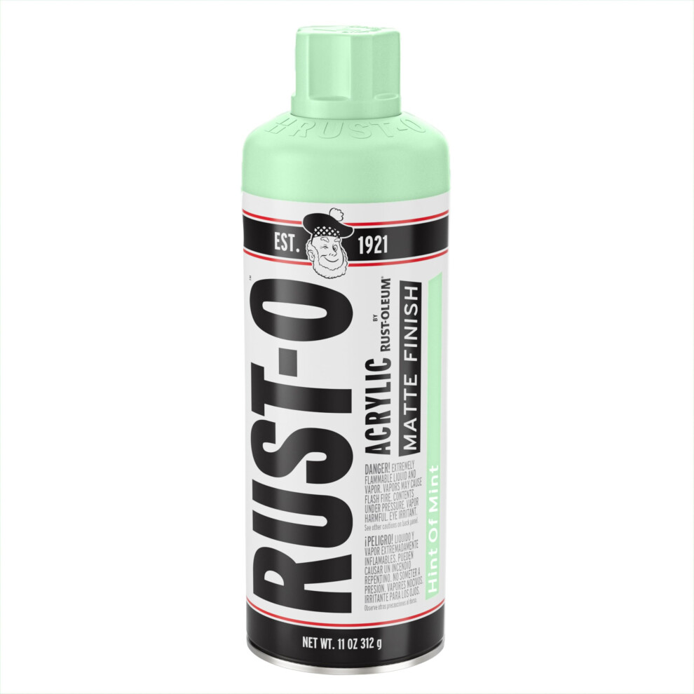 Rust-Oleum Rust-O Acrylic Artist Spray Paint  11 oz  Matte Hint Of Mint