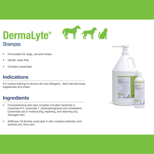 Shampoo Dermalyte, 355ml 1