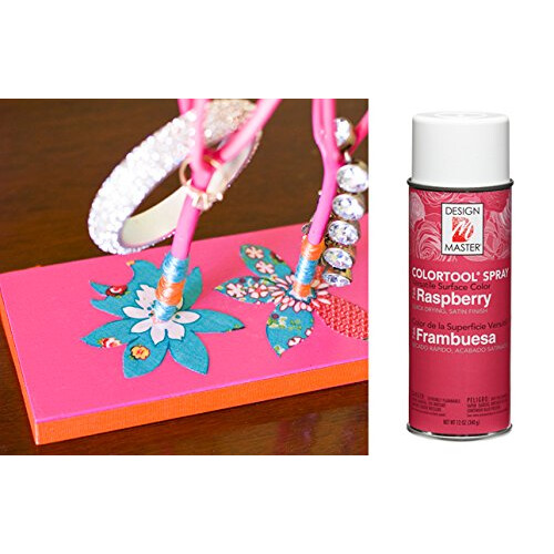 Spray Colortool Design Master 766 Framboise 1