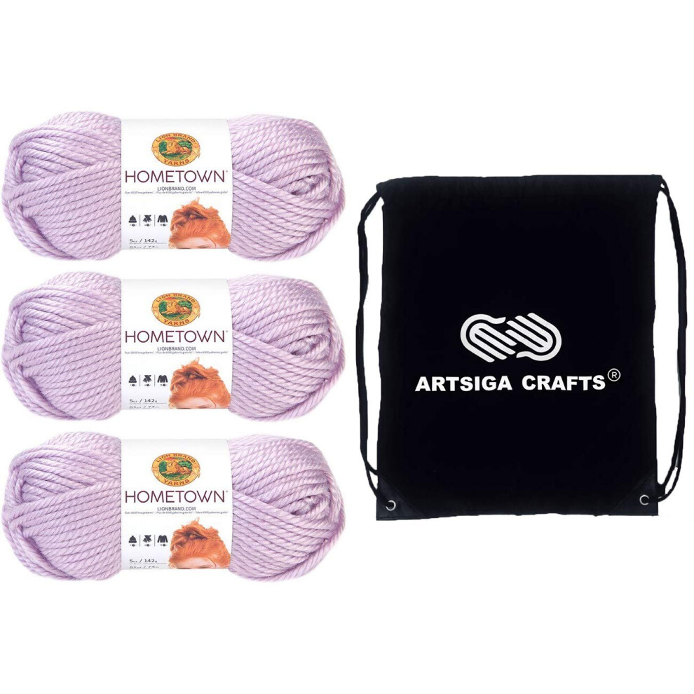 Lion Brand Hometown Joliet Iris 135T-142 (3-Skeins - Same Dye Lot) Weight S Bulky #6 Acrylic Yarn for Crocheting and Knitting with Project Bag