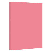 Papel Cartão Colorido Pastel Cereja, 67lb, para Artes & Ofícios, Impressão Escolar