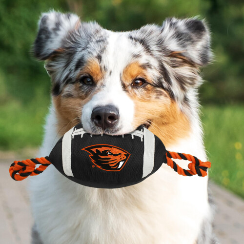 Pets First ORS-3121 Oregon State Nylon Fodbold 1