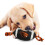 Pets First ORS-3121 Oregon State Nylon Fodbold 3
