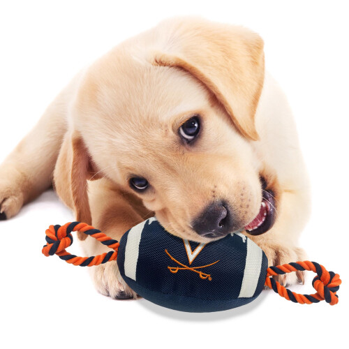 Pets First 2