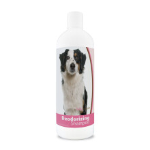 Miniaturn deodorizacn ampon pro zdrav plemena americkho ovcka 16 oz