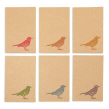 Pakkaa 36 Bird Design -tyhjiä kortteja ja kirjekuoria 4x6 kaikkiin tilaisuuksiin syntymäpäivän kiitosvoimapaperiset muistikortit