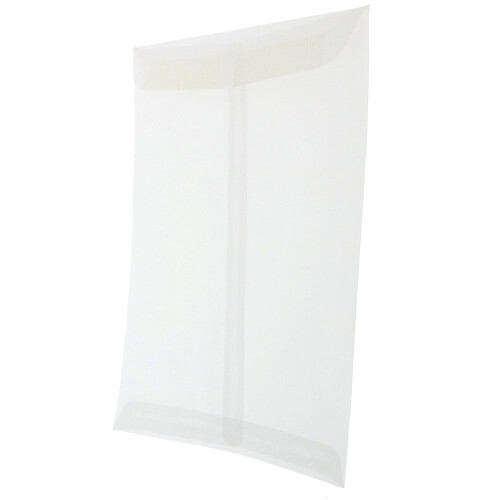 JAM PAPER 10 x 13 Open End Catalog Translucent Vellum Envelopes - Clear - 25/Pack 1