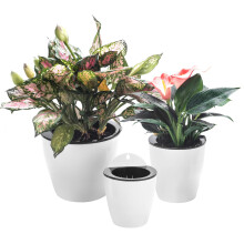 3 Pack Self Watering Wall Hanging Planter Pots Vertical Garden Window Hang Mount Indoor Outdoor Plant Flower Basket for Kitchen Herbs Balcony Railing