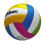 Wilson Bola de Voleibol Wilson Pro Tour 5