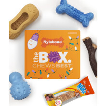 Nylabone Dog Gift Box bevat 4 sterke rubberen kauwspeeltjes en 1 natuurlijke traktatie Cadeaus voor honden Klein - tot 25 lbs 5-pack