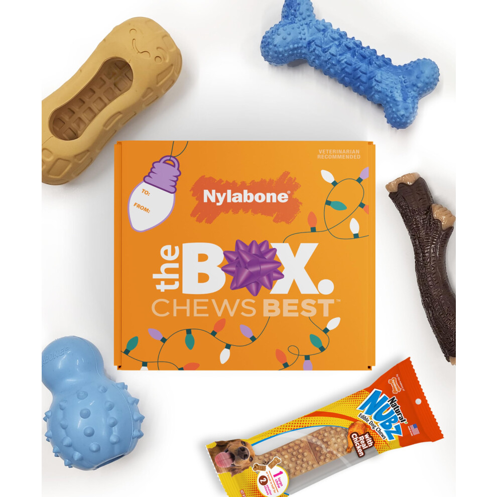 Nylabone Dog Gift Box  Includes 4 Rubber Strong Chew Toys and 1 Natural Treat  Gifts for Dogs  Small - Up to 25 lbs  5 Pack