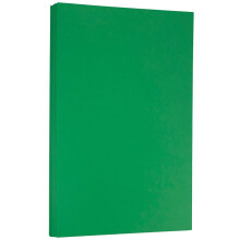 Carta jam di carta colorata legale da 24 libbre - 90 GSM - 8,5 x 14 - Green Recycled - 100 fogli/pacchetto