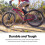 Schwinn Schwinn Re 3