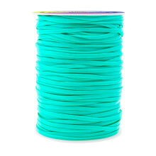Mandala Crafts Mint Plastic Veterkoord Boondoggle String Kit - 2,5 mm 100 Yds Gimp String Kit voor sleutelhanger Plastic koord armband ketting si