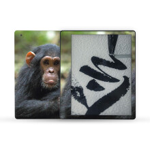 MightySkins Skin kompatibel mit Amazon Kindle Scribe (2022) Full Wrap  Baby Chimp | Schtzende, langlebige und einzigartige Vinyl-Aufkleber-Hll