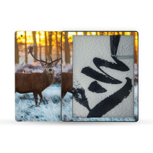 MightySkins Skin kompatibel mit Amazon Kindle Scribe (2022) Full Wrap  Buck | Schtzende, langlebige und einzigartige Vinyl-Aufkleber-Hlle | Ei