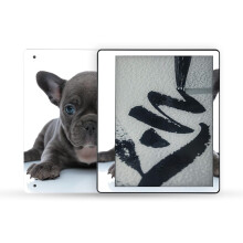MightySkins Skin kompatibel mit Amazon Kindle Scribe (2022) Komplettumhllung  Franzsische Bulldogge | Schtzende und einzigartige Vinyl-Aufkle
