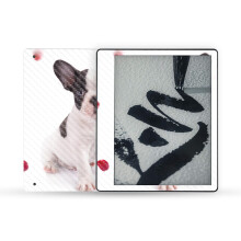 MightySkins Carbonfaser-Skin, kompatibel mit Amazon Kindle Scribe (2022), vollstndige Umhllung  Furry Frenchie | Schtzende strukturierte Car
