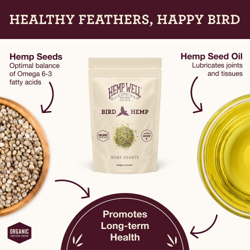 Hemp Well 2