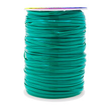 Mandala Crafts Teal Plastic veterkoord Boondoggle String Kit - 2,5 mm 100 Yds Gimp String Kit voor sleutelhanger Plastic koord armband ketting si