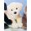 Douglas Peluche de perro labrador amarillo Douglas Mandy 2