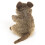 Folkmanis Quokka-Handpuppe 4