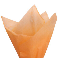 PMLAND 100 Sheets Pastel Orange Tissue Wrapping Paper Bulk 20 x 15 Inches for Gift Favor Bags Boxes Flowers Packaging Crafts DIY Art Projects and Par