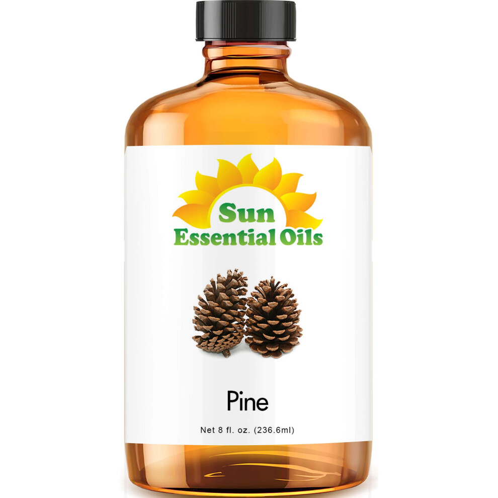 Aceite Esencial De Pino Sun Essential Oils De 8 Oz - Aceite De Pino Para Aromaterapia-image