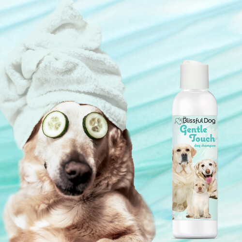 amp   n pre psov Blissful Dog Gentle Touch 237 ml 1