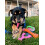 Nylabone Nylabone N 2