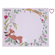 Piccolo amore di Nojo Woodland Animals Pink and Green Bunny Fox e Squirrel Super morbido Photo Op Milestone Baby Bopvet