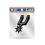 Rico Industries San Antonio Spurs 4""""x4"""" Small Style Decal 1