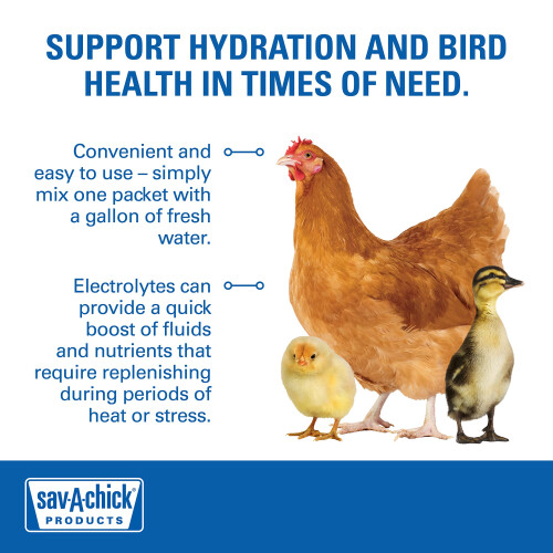 Sav-A-Chick Electrolyte & Vitamin Supplement (3 - 0.2 oz packets) 2