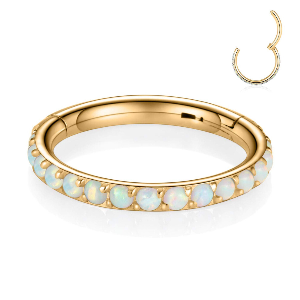 Funlmo Nasenringe, Creolen, Knorpelohrring, Septumschmuck, Daith-Helix, Rook-Ohrringe, Septum, Helix, Tragus, Daith-Piercingschmuck, Nasenring, W-image