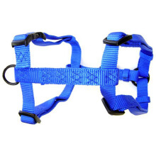 Harnais r glable en nylon confortable pour chien Hamilton (3/8 po x 10 po 16 po) bleu