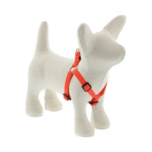 Lupine Extra Small Adjustable Step in Dog Harness, 1/2"""" irok , Blaze Orange s nastaviteln m obvodom 10-13""