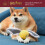Harry Potter Harry Pott 2