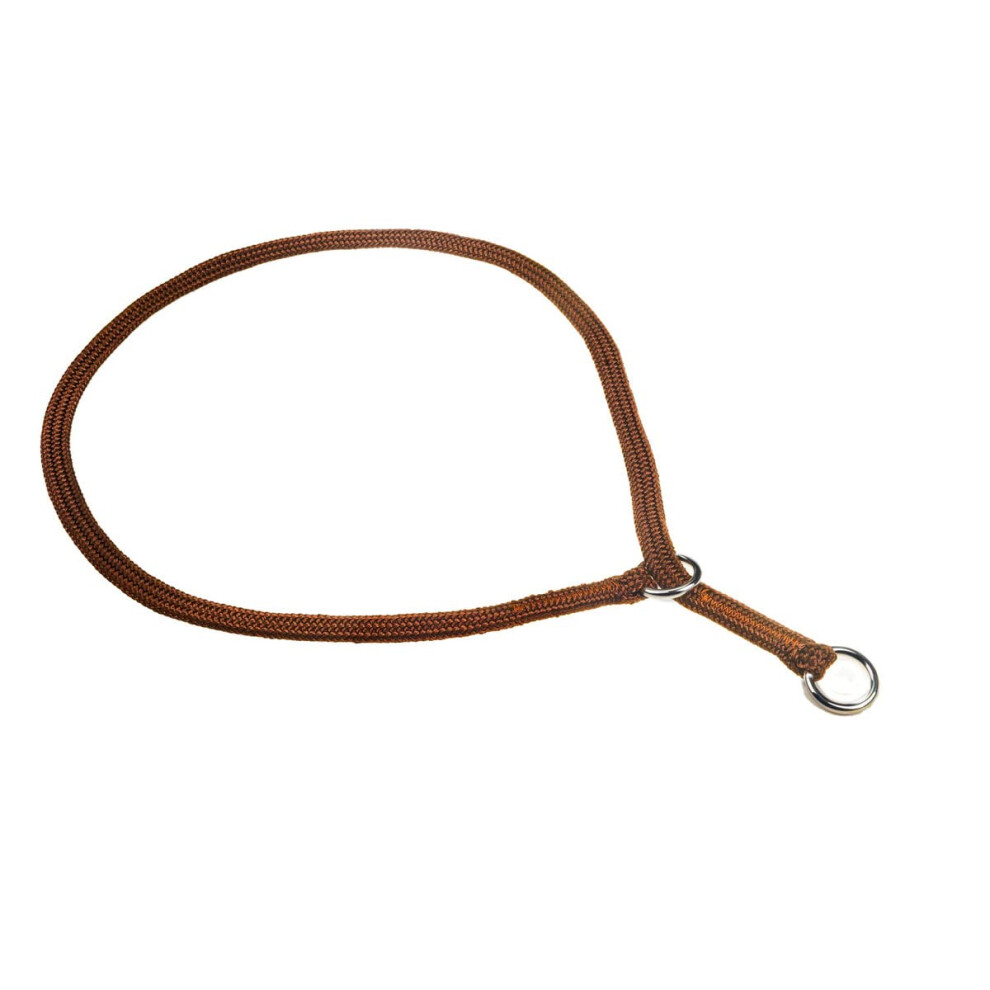 Collier de conformation pour chien - Parfait pour les petits chiots et les grands chiens - Collier de cr   ateur pour les expositions canines pour