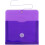 JAM PAPER Plastic Envelopes with Button & String Tie Closure - Index Size - 5 1/2 x 7 1/2 - Purple - 3/Pack 3