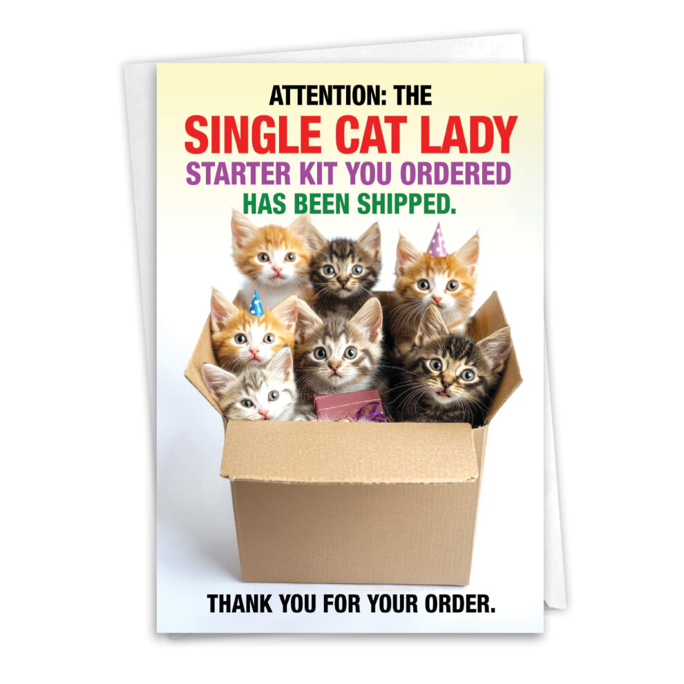 Carte D'anniversaire Humoristique Nobleworks Avec Enveloppe 5 X 7 Pouces (1 Carte) Bday Single Cat Lady C8469BDG-image