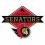 Rico Industries Nhl Ottawa Senator 1