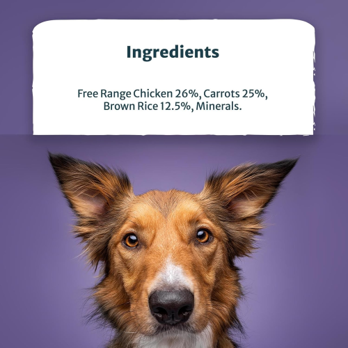 Burns Burns Pet Nutrition Hypoallergenic Complete Dry Do 1