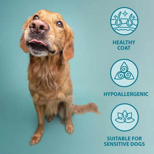 Burns Burns Pet Nutrition Hypoallergenic Complete Dry Do 2